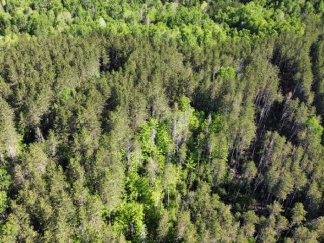 368 Ch. Brown, Litchfield, QC, J0K 1K0 house for sale | Listing ID 27777 | Royal LePage