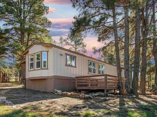 368 Fireside St, Pagosa Springs, CO 81147