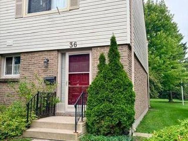 36 1600 Culver Drive, London East H, ON, N5V 3H5 townhouse for lease | Listing ID X13690 | Royal LePage