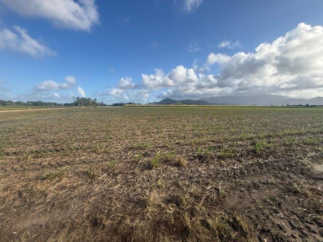 36.3 ha Cane farm at Silkwood with internal Creek