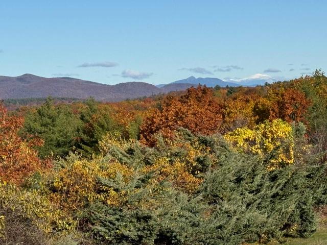 36 Blueberry Hill Road