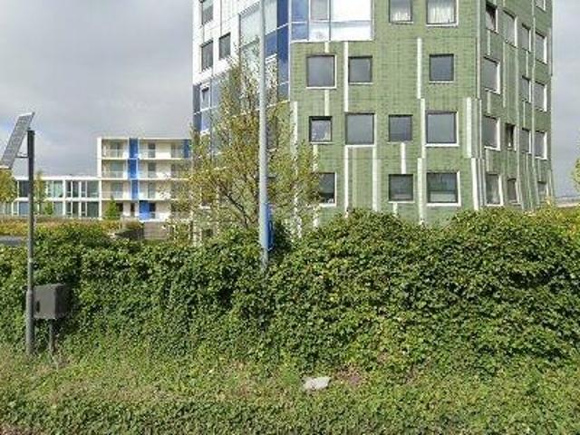 36 m2 apartment for rent in Groningen