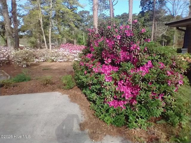 36 Swamp Fox Drive