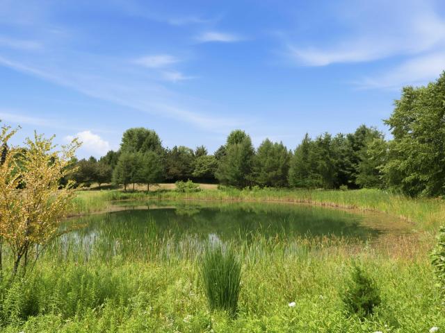 37015 Lower Lake Rd