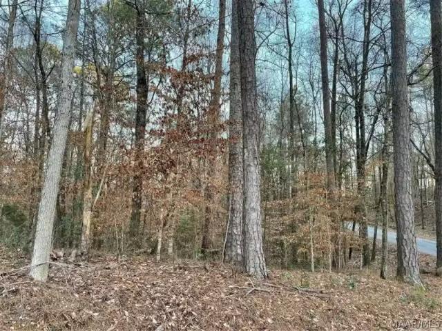 370 COOSA RIDGE RD, DEATSVILLE, AL 36022