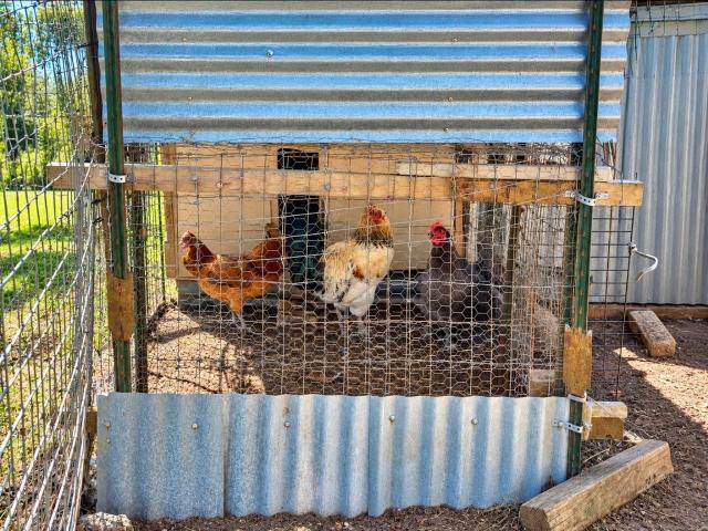 370 Stage Coach Road