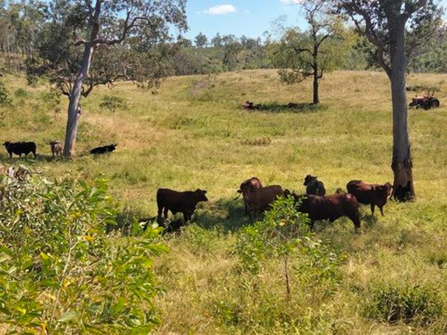 371.09 Ha PICTURESQUE VIEWS CHOICE HOUSE SITES 100+ CATTLE