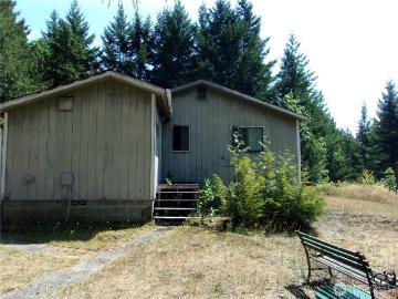 371 Green Mountain Ln, Brinnon, WA 98320 | MLS #2415