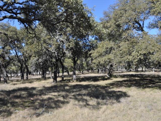 0 Rm 479, Harper, TX 78631 | MLS #99403
