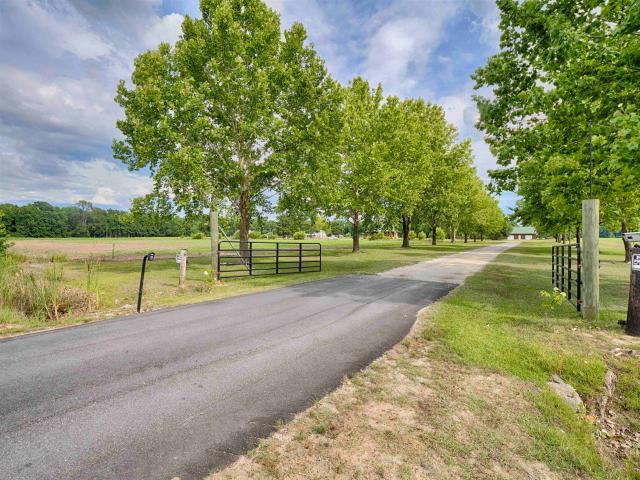 3728 W. Turbeville Highway