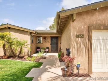 3722 Mount Aladin