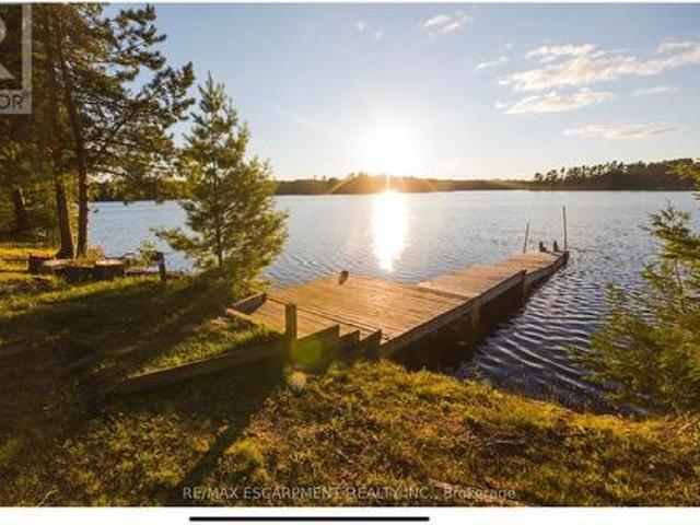 372 Gunter Lake Road, Tudor And Cashel, ON, K0L 1W0 house for sale | Listing ID X13437 | Royal LePage