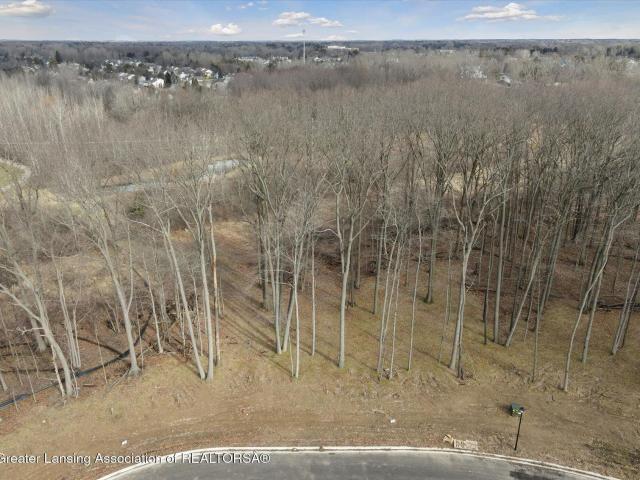 3738 Crane Circle, Okemos, USA, MI