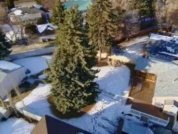 3742 44 Avenue, Red Deer, AB, T4N 3H5 house for sale Listin.