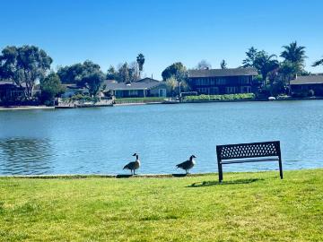 3768 W Benjamin Holt Dr, Unit 13, Stockton, CA 95219 | MLS #226024