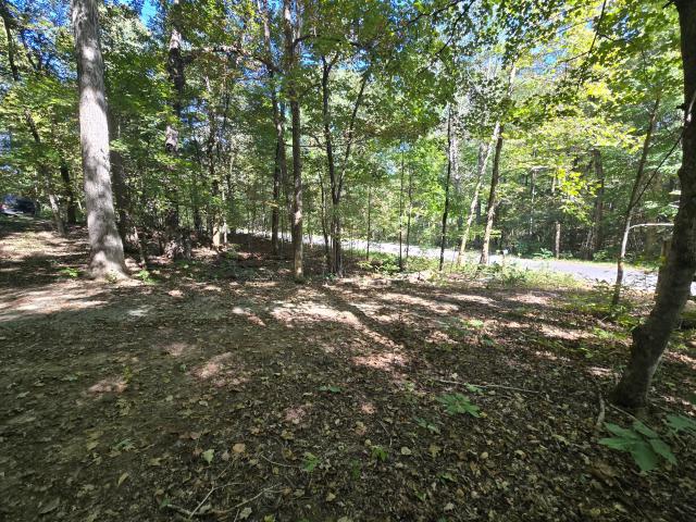 3774 Needmore Road