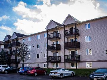 Apartment for rent in Westmorland - Patio