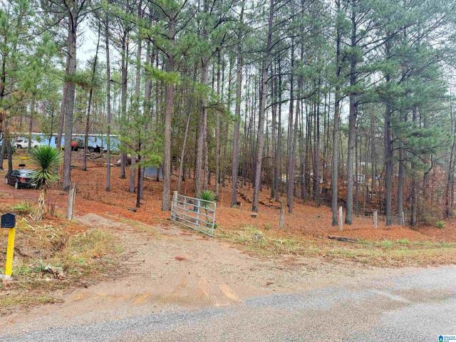 3800 County Road 61
