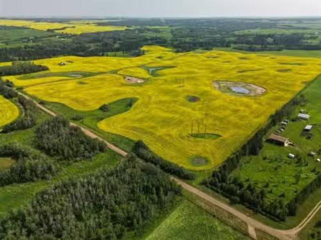38127 Range Road 25 2, Joffre, AB, T4L 2N2 farm for sale Li.