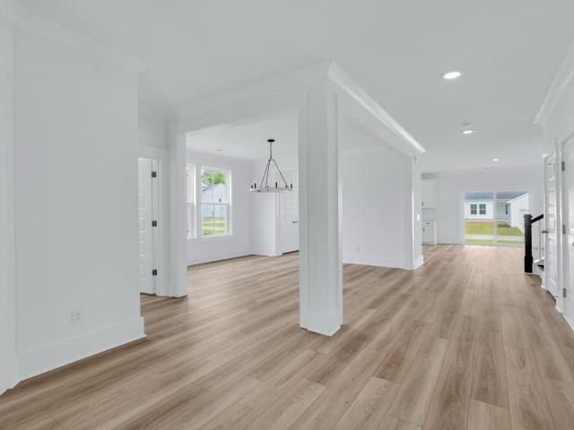 3829 Cracked Shell Lane