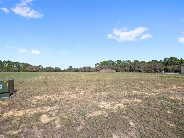 38361 Lake Meadow, Umatilla, FL 32784 | MLS #O6416