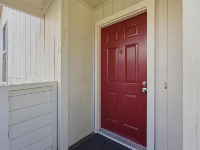 3833 Panda Drive