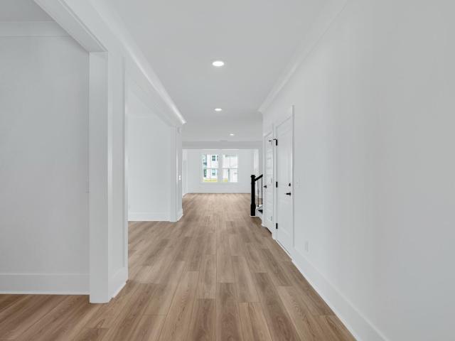 3845 Cracked Shell Lane