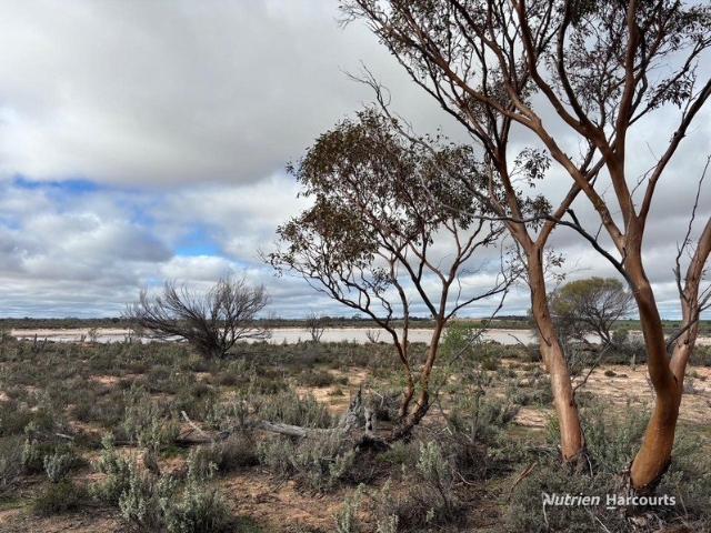 385 ACRES, SPACE, PRIVACY & DIVERSITY