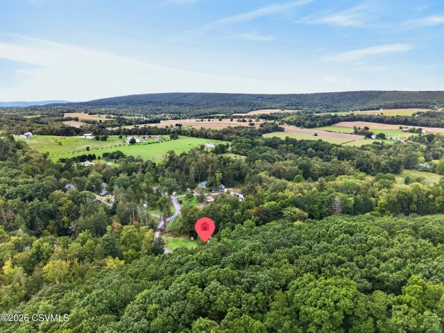 385 spruce hollow road