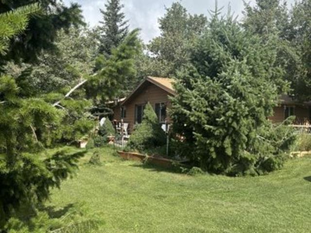 3877 Brookie Ln, Island Park, ID 83429