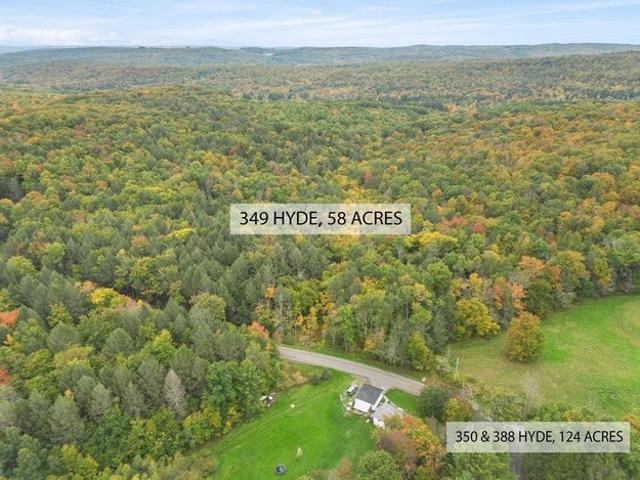 388 Hyde St, Whitney Point, NY 13862
