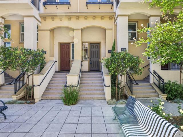 38975 Primula Terrace