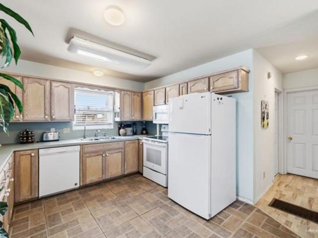 389 Sand Dollar
