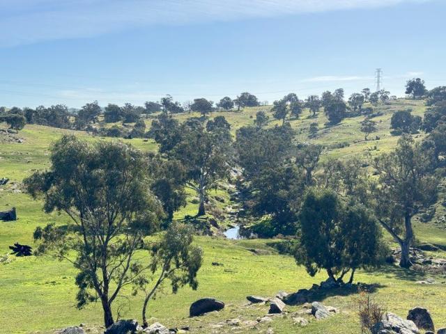 38.2 Hectares of space, nature and country. Elevated views over ancient Red Gums. Spectacular home sites STCC