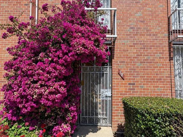 38 Kelloch Ave