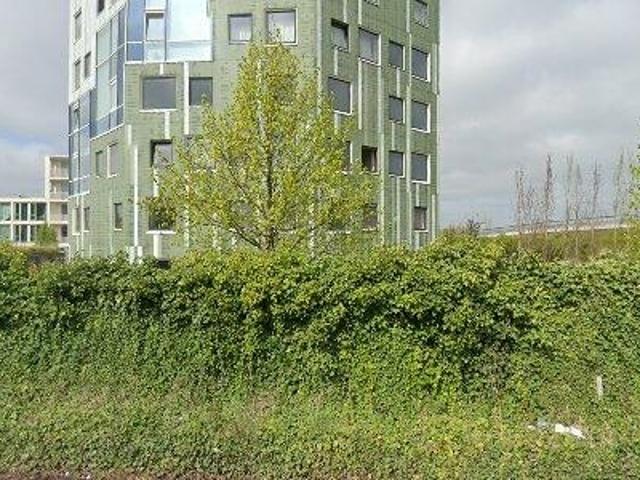 38 m2 apartment for rent in Groningen