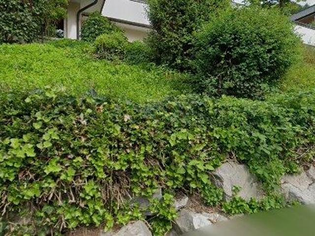 38 m2 apartment for rent in Zwischenwasser