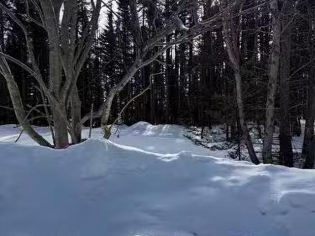 38 Spruce Grove Road, Parson'S Pond, NL, A0K 3Z0 vacant land.