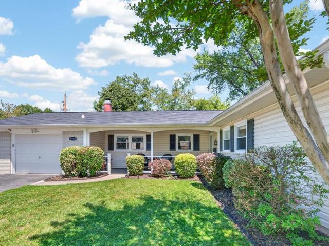 3905 Carvel Lane