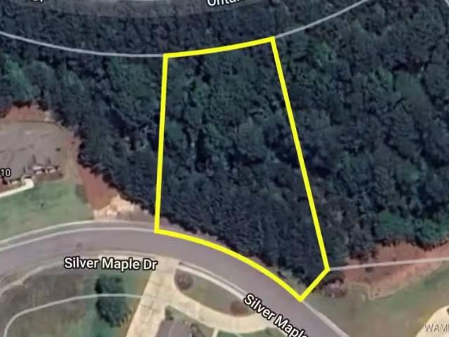 3906 SILVER MAPLE DR, NORTHPORT, AL 35473