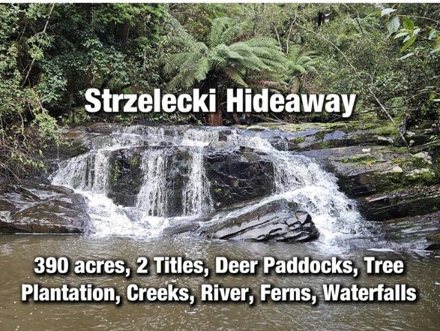 390 acres, House, Pasture, Deer, Ferns, Waterfalls.