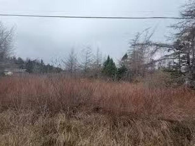 390 Main Street, Burin, NL, A0E 1E0 vacant land for sale Li.