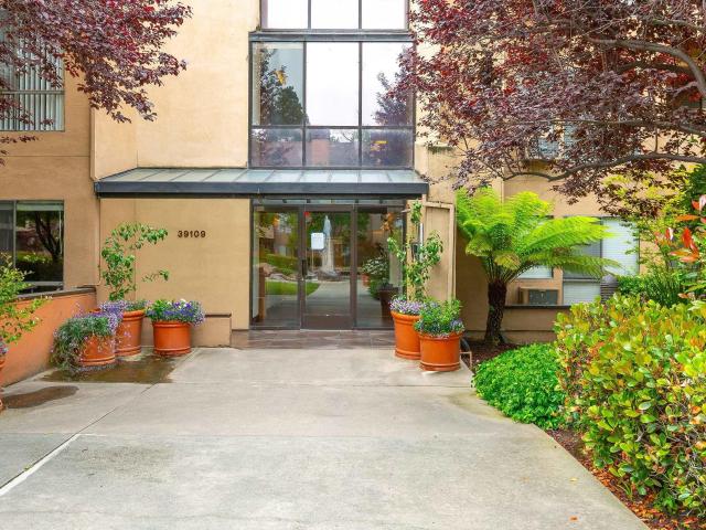 39109 Guardino Drive 234