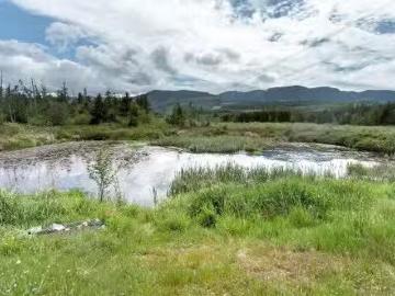 3910 Alberni Hwy, Whiskey Creek, BC, V9K 1X6 commercial for.