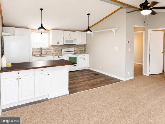 391 Fancy Filly Circle