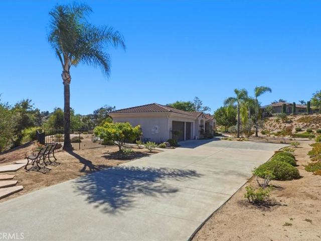 3927 Limber Pine