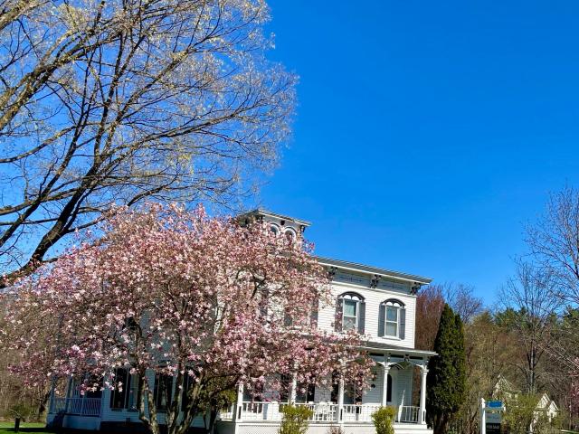 392 Gurn Springs Road
