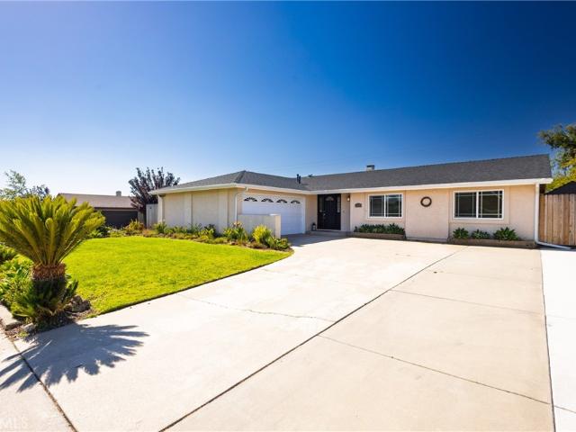393 Mountain View
