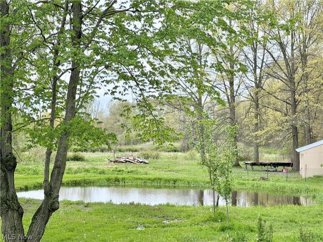 3948 Carson Salt Springs Road