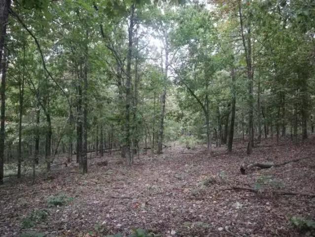 3958 YOUNG RD, SALEM, AR 72576